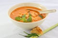 Chicken Tom Yam Soup Royalty Free Stock Photo