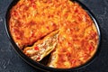 Chicken Tortilla Casserole in ceramic baking dish Royalty Free Stock Photo