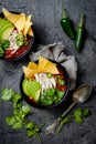 Chicken tortilla chili soup with nachos, avocado, lime, jalapeno. Mexican traditional dish.