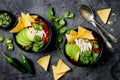 Chicken tortilla chili soup with nachos, avocado, lime, jalapeno. Mexican traditional dish.