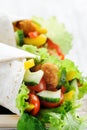 Chicken tortilla with salad Royalty Free Stock Photo