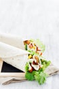 Chicken tortilla with salad Royalty Free Stock Photo
