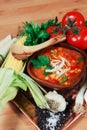 Chicken Tortilla Soup With Fresh Vegetables Royalty Free Stock Photo