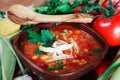 Chicken Tortilla Soup With Fresh Vegetables Royalty Free Stock Photo