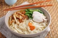 Chicken and udon noodle soup with Shimeji mushrooms