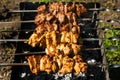 Chicken and veal kebabs barbecues on grill Royalty Free Stock Photo