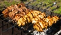 Chicken and veal kebabs barbecues on grill Royalty Free Stock Photo