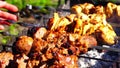 Chicken and veal kebabs barbecues on grill