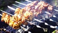 Chicken and veal kebabs barbecues on grill