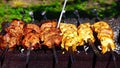 Chicken and veal kebabs barbecues on grill