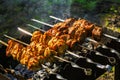 Chicken and veal kebabs barbecues