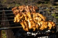 Chicken and veal kebabs barbecues Royalty Free Stock Photo