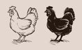 Chicken vector logo. farm, poultry, hen, fowl icon Royalty Free Stock Photo