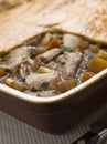 Chicken Vegetable and Gravy Pie