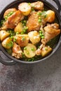 Chicken Vesuvio is a classic Italian-American dish for baked chicken with potatoes, peas, white wine sauce, and seasonings close- Royalty Free Stock Photo