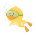 Chicken Wearing Diving Suit Snorkeling Underwater Vector Illustration