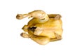 Chicken on a white background. Royalty Free Stock Photo