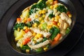 Chicken and white bean soup with veggies, corn Royalty Free Stock Photo