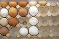 chicken white and brown eggs in a cardboard container Royalty Free Stock Photo