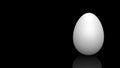Chicken white egg in black background illustration