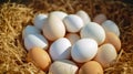 Chicken white eggs close up. farm chicken ecologic eggs