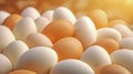 Chicken white eggs close up. farm chicken ecologic eggs