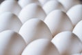 Chicken white eggs closeup. Farm products and natural eggs. Healthy food.