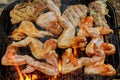 Chicken wings on barbecue grill with fire Royalty Free Stock Photo