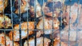Chicken wings barbecue on a metal grill on hot coals. Royalty Free Stock Photo