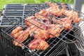 Chicken wings on barbecue grill with fire close up Royalty Free Stock Photo