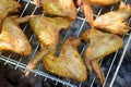 Chicken wings on barbecue grill with fire Royalty Free Stock Photo