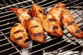 Chicken wings cooked on the grill with the grill Royalty Free Stock Photo