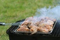 Chicken wings grilling on a summer barbecue. BBQ background Royalty Free Stock Photo