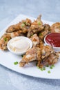 Chicken Wings Mayo Royalty Free Stock Photo