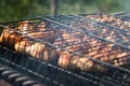 The chicken wings are roasting on a black, greasy grate on a charcoal grill. Smoke coming from the coals. Close-up. Selective Royalty Free Stock Photo