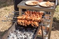 Chicken wings on skewers baked over coals in a metal grill outdoors. Royalty Free Stock Photo