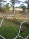 Chicken wire Royalty Free Stock Photo