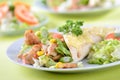 Chicken wrap Royalty Free Stock Photo