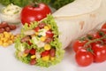 Chicken Wrap Sandwich Royalty Free Stock Photo