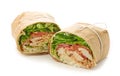 Chicken wrap sandwich Royalty Free Stock Photo