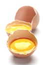 Chicken yelk Royalty Free Stock Photo