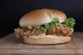 Chicken zinger burger