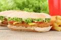 Chickenburger chicken burger hamburger and fries menu meal combo Royalty Free Stock Photo