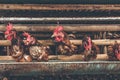 Chickens in the cage on chicken farm. Chicken eggs farm. Royalty Free Stock Photo