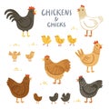 Chickens and chicks illustration set Royalty Free Stock Photo