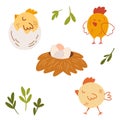 Chickens and eggs set. Chicken hatches from the egg. Nest and tray of chickens eggs. Hen farm. Animal character. Happy Easter. Royalty Free Stock Photo