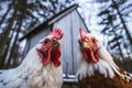 Chickens farm animal making a selfie with a smartphone illustration generative ai