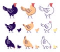 Chickens flat vector illustrations set. Multicolor chicks, hens and and rooster pecking cartoon design elements with