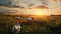 Chickens Grazing In Field At Sunset - Realistic Vray Tracing Stock Photo