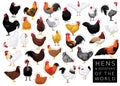 Chickens Hens Roosters of the World Set Cartoon Vector Character Royalty Free Stock Photo